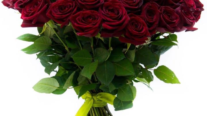 Искусство подарка: почему букет роз – лучший выбор для любого случая